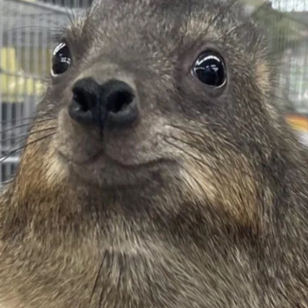 Meet your Posher, Eddie